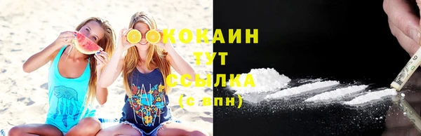 твердый Алексеевка