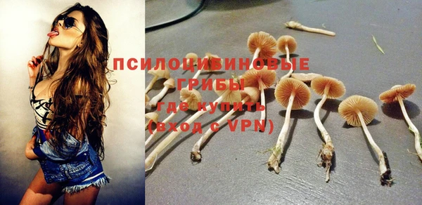 гидропоника Приозерск