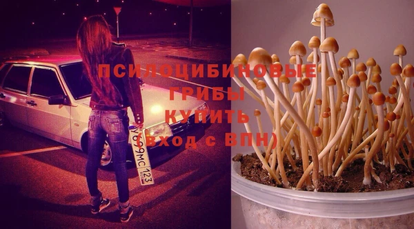спайс Пролетарск