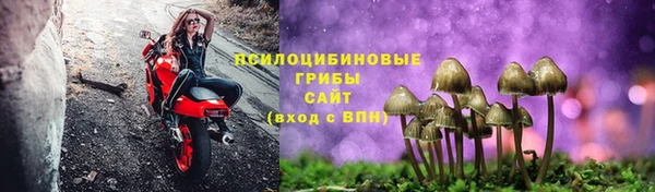 синтетический гашиш Алексин