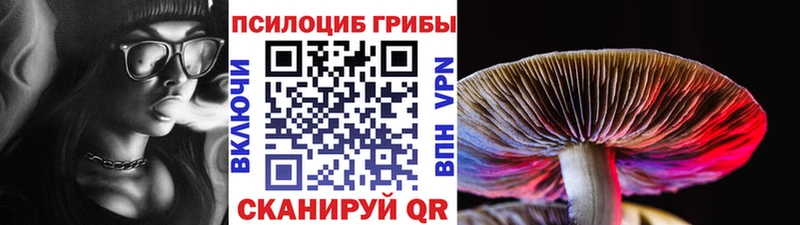Псилоцибиновые грибы Magic Shrooms  Октябрьск 